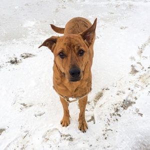 Meet your Posher, James